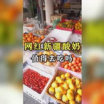 吃瓜娱乐简介,吃瓜群众眼中的明星幕后故事