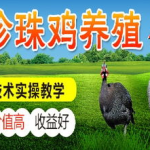 养殖加盟,探索多元化养殖项目,共创财富未来