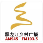 龙广在线收听,创新传播,引领广播新时代