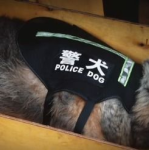 台湾娱乐妹中文网手机,轻松掌握最新娱乐资讯,畅享便捷阅读体验