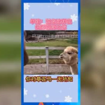 娱乐吃瓜群众歌曲视频下载,揭秘“吃瓜群众”歌曲视频下载背后的故事