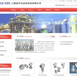 上海网站制作公司,专业定制,助力企业网络品牌形象升级