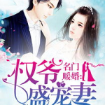 名门暖婚权爷盛宠妻全文免费阅读,权爷盛宠妻全文免费阅读,豪门宠文甜蜜来袭!
