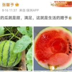 最近娱乐圈有什么瓜吃,明星秘闻大揭秘!