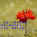 人生感悟的句子发朋友圈,精选语录,温暖你的朋友圈